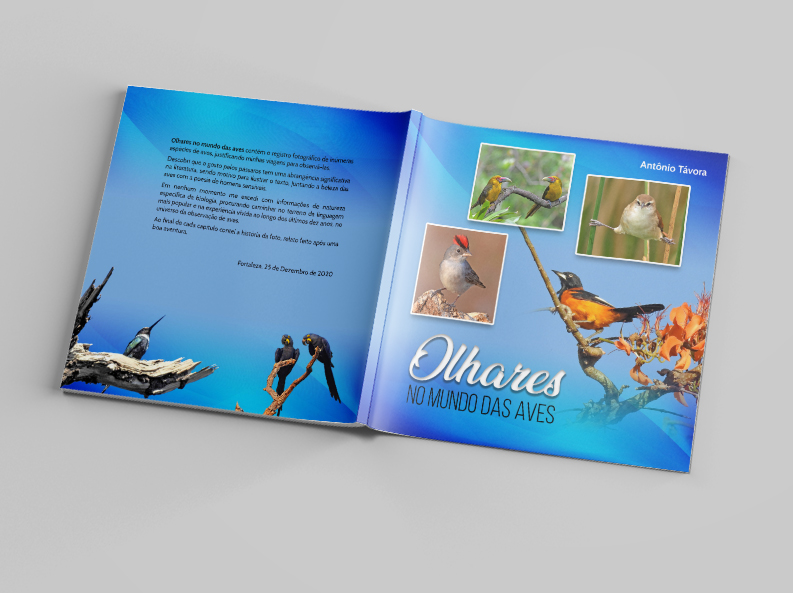 Square Magazine Mockup - Free Version capa-Recovered.jpg